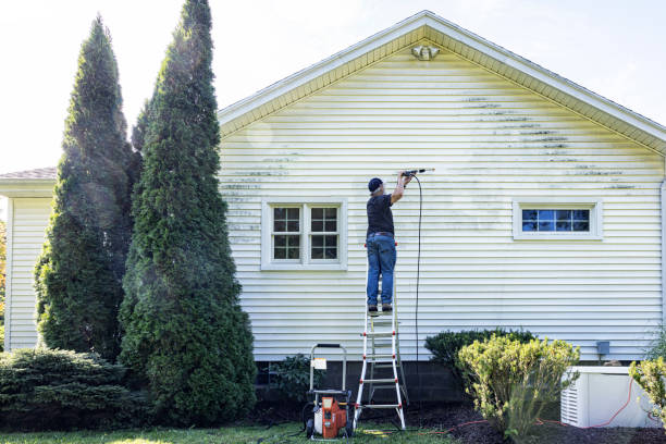 Best Affordable Power Washing  in Fulton, IL