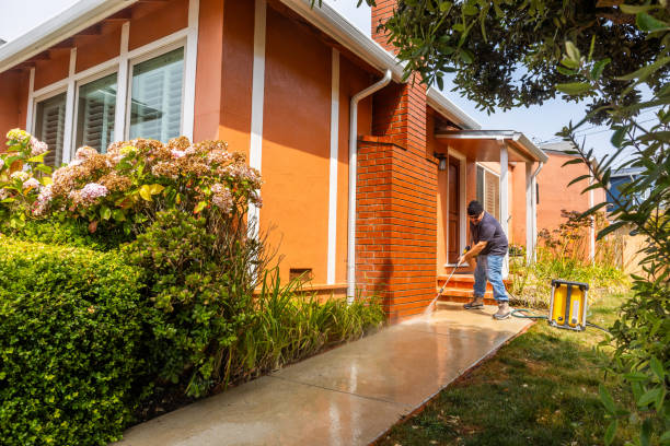 Best Affordable Pressure Washing  in Fulton, IL