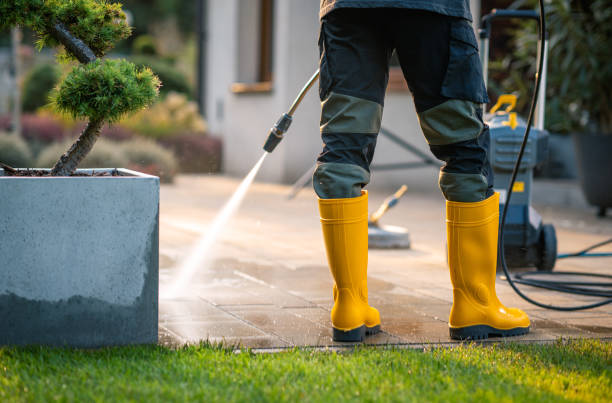 Best Residential Pressure Washing Services  in Fulton, IL